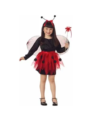 Child's Ladybug Halloween Costume Dress