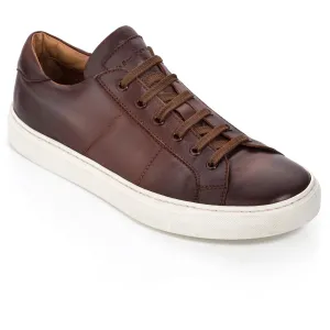 Colton Brandy Nappa Calf Sneaker