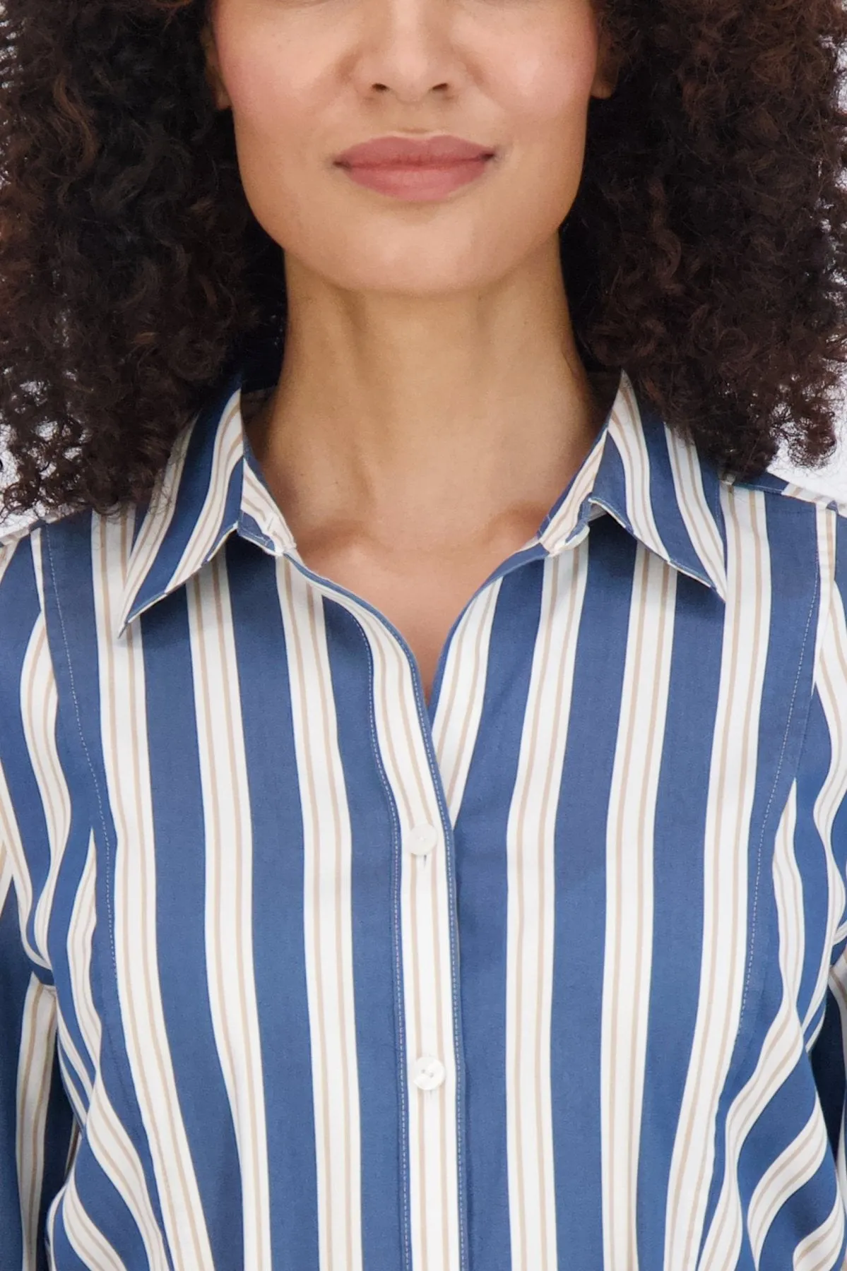 Fiona Stretch No Iron Indigo Stripe Dress