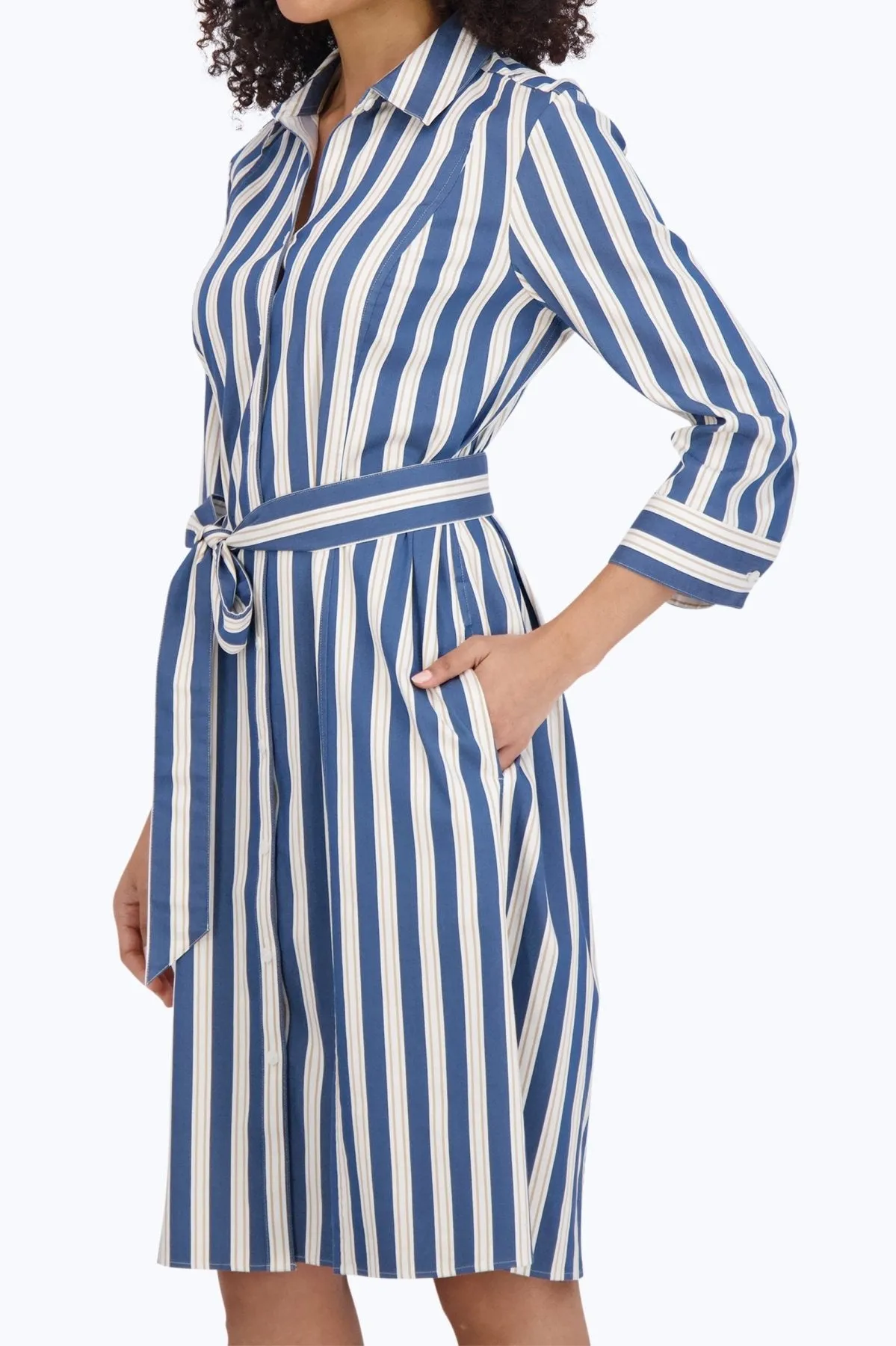 Fiona Stretch No Iron Indigo Stripe Dress