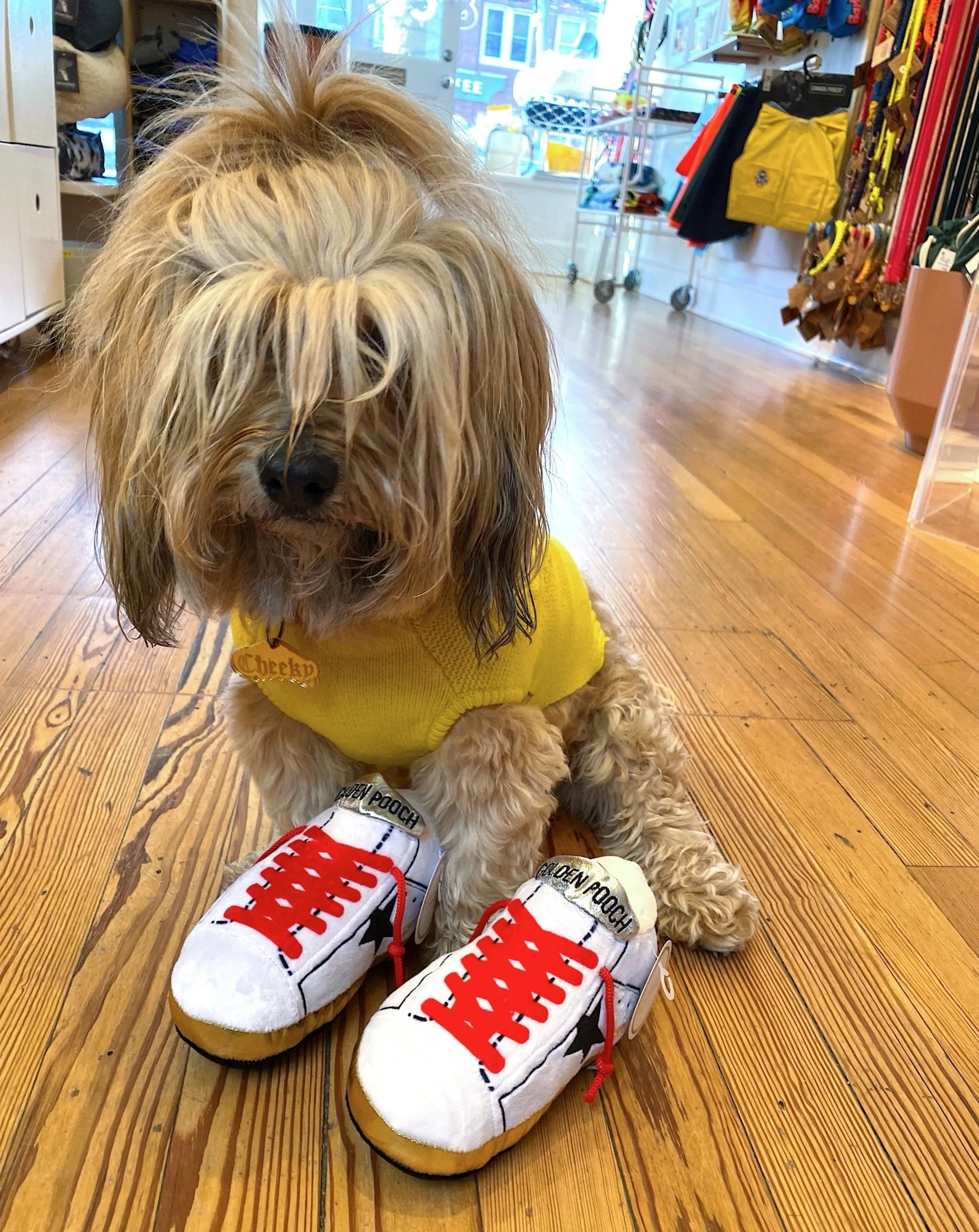 Golden Pooch Sneaker Plush Dog Toy