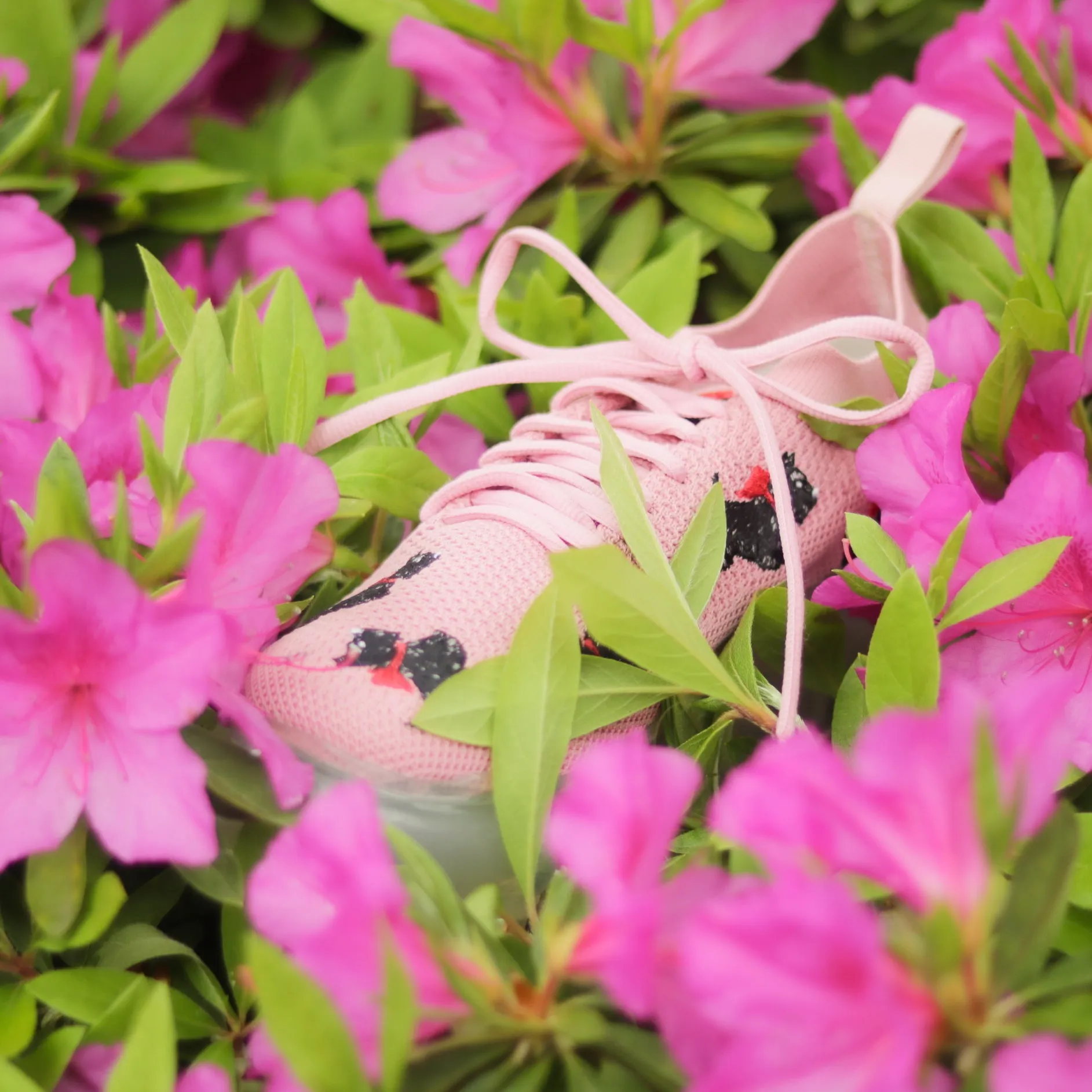 New "Jewelry" Shoes / Pink / MIKIOSAKABE × PINK HOUSE